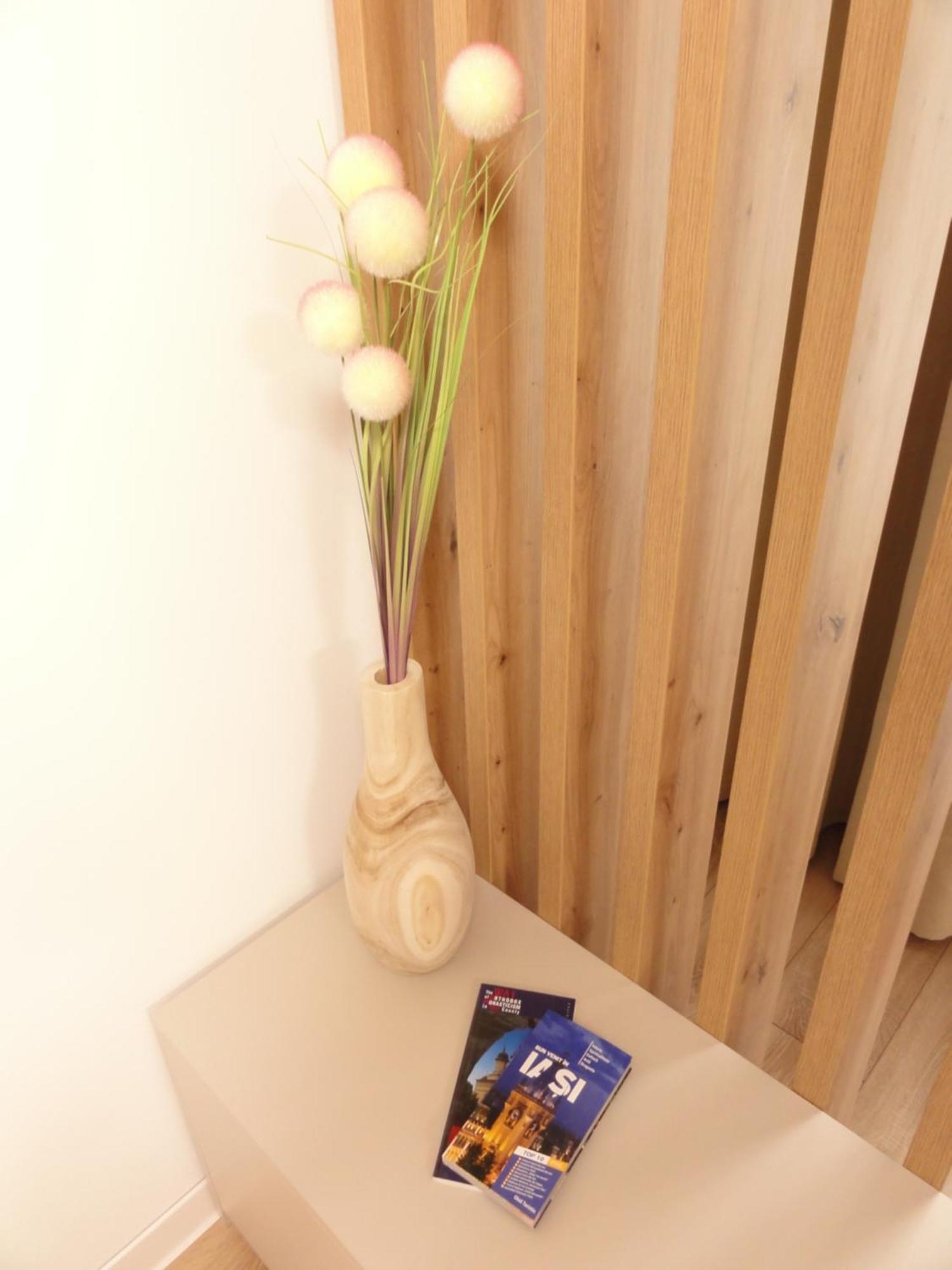 Central Luxury Apartment יאשי מראה חיצוני תמונה