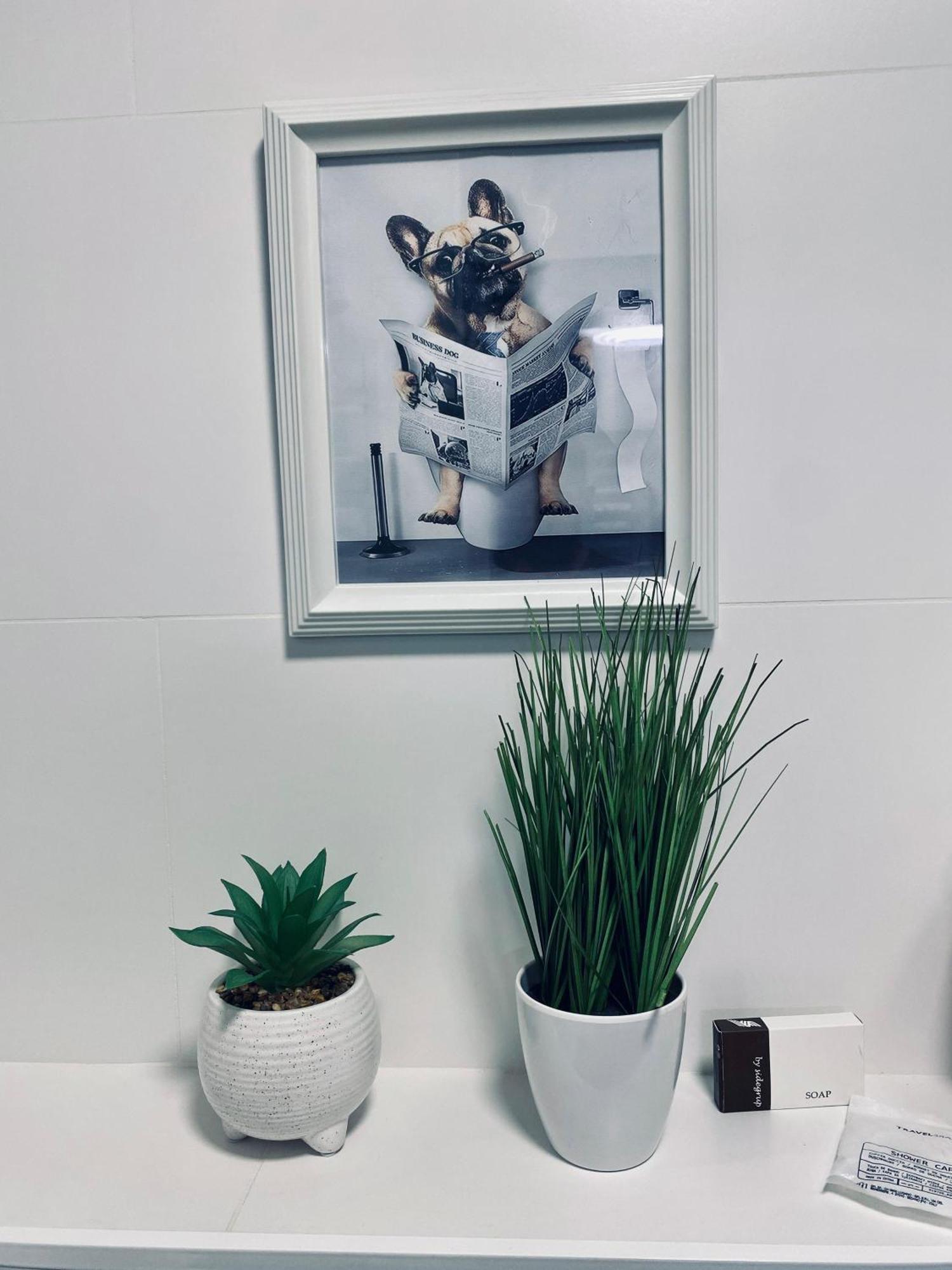 Central Luxury Apartment יאשי מראה חיצוני תמונה