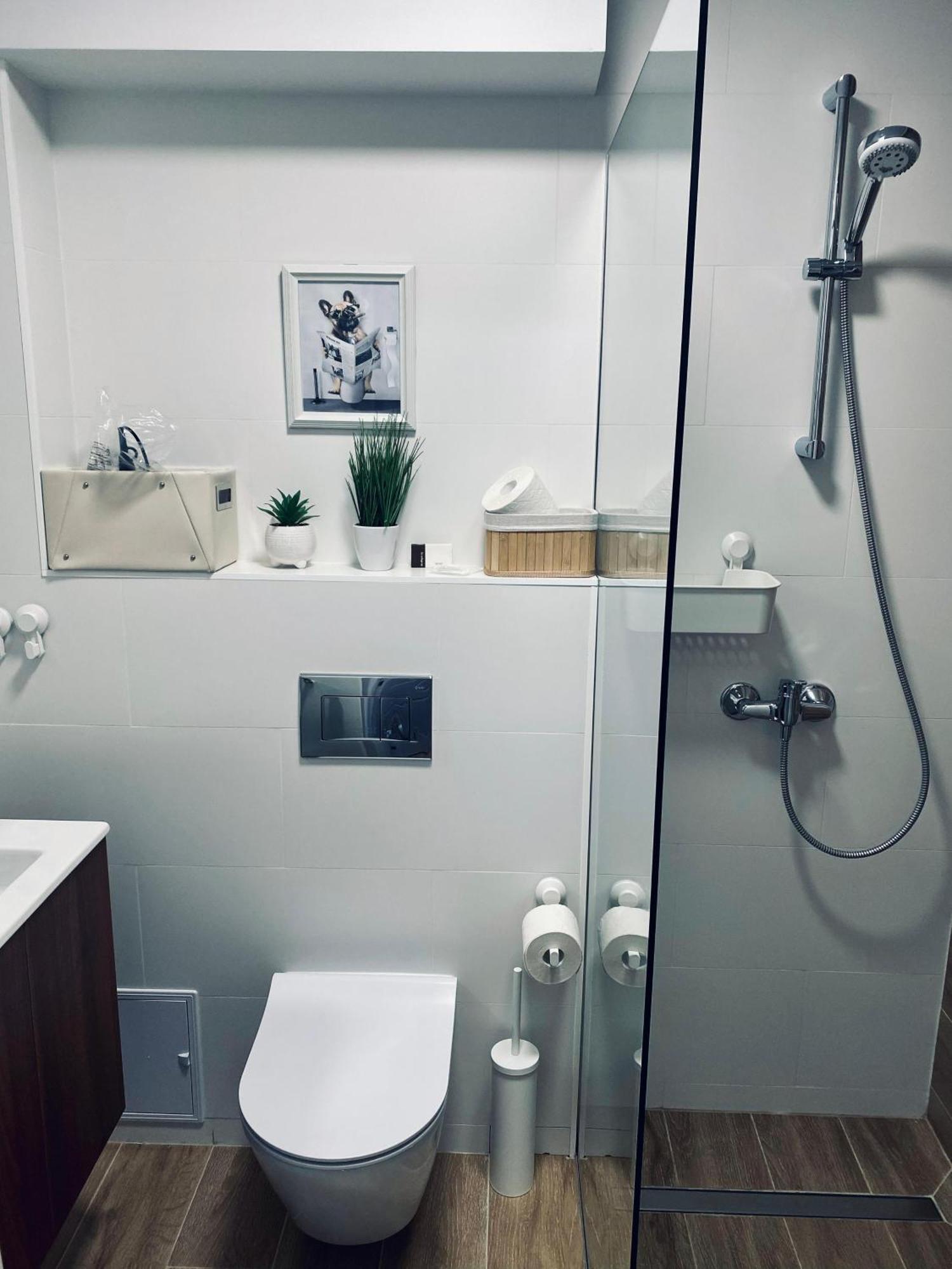 Central Luxury Apartment יאשי מראה חיצוני תמונה