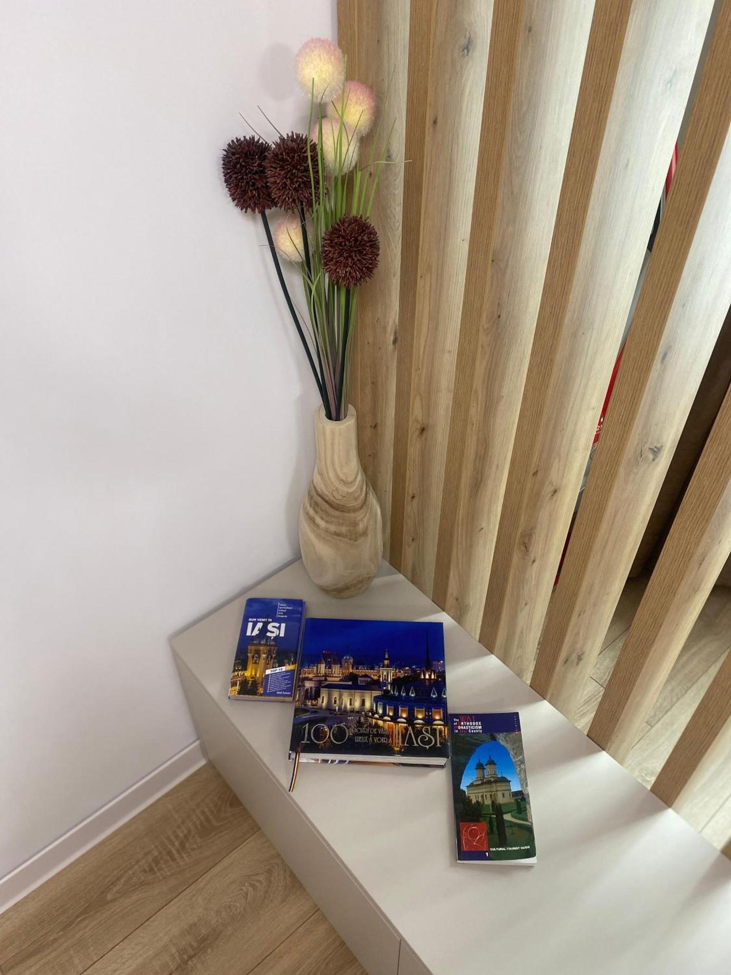 Central Luxury Apartment יאשי מראה חיצוני תמונה